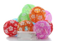 Edco Lichterkette LED zehnfach Dekoration 79900 Bunt Blumen