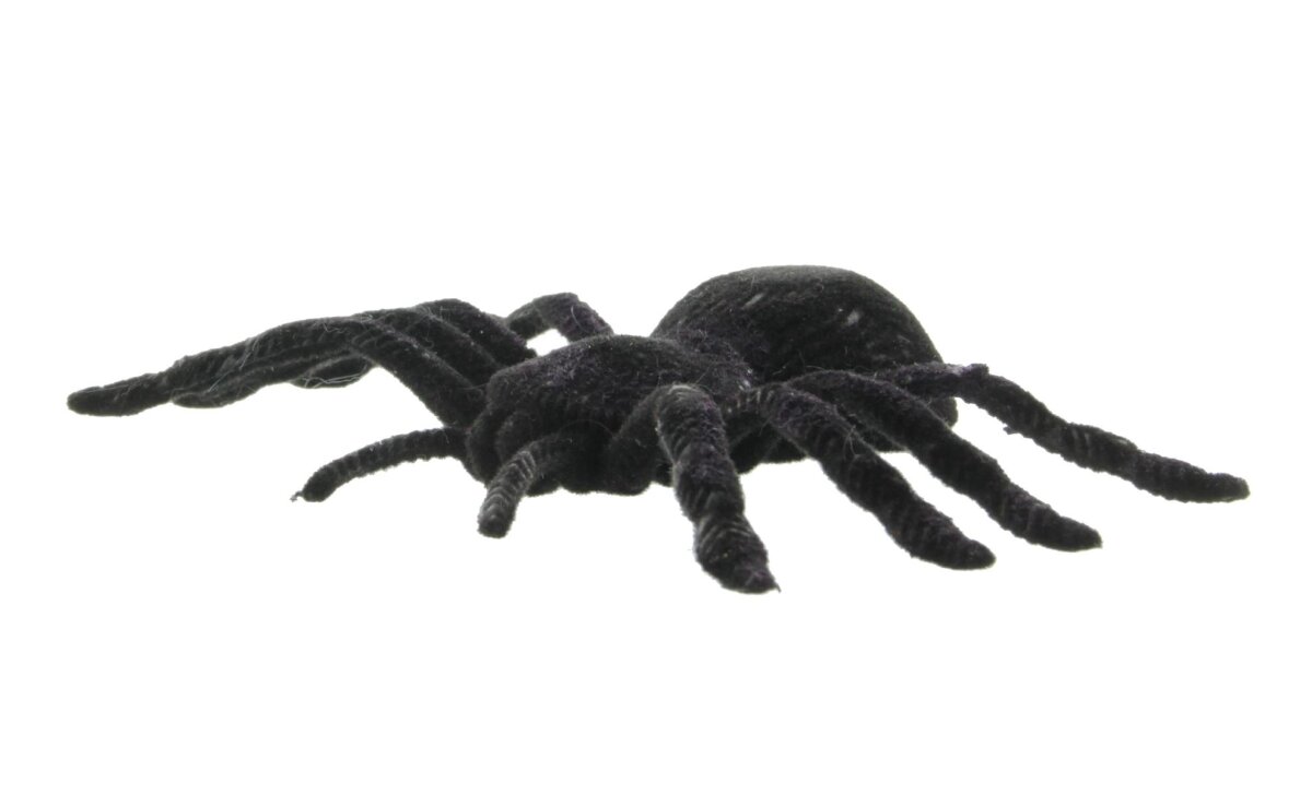 Kistreao Halloween Spinne Stirnband – Schwarz-lila, Für Kostümpartys & Grusel-Events
