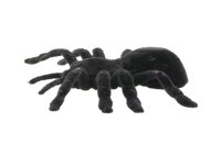 Edco Halloween Spinnen 3er SET - Schwarz / Lila