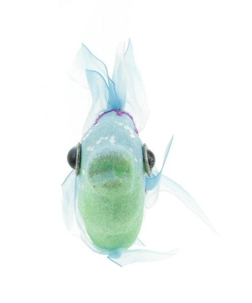 Cepewa Regenbogen Fisch Dekoration Rainbow Fish