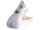 Cepewa Flaschenhalter Halter 51664 "Hai" bemalt