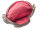 NYZE Hip Bag The Beauty2Go Damen Bauchtasche