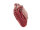 Harbour 2nd Violetta B3.9806 kleine Umhängetasche red