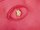 US Polo Assn Benton Crossbody Bag BEUBB2767WVP red