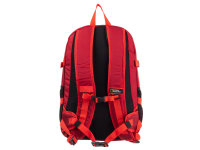 National Geograpic Backpack with Mesh