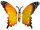 Schmetterling mit Blumespiess orange