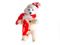 Eisbär Mit Mütze und Schal mit Wollschneeanzug