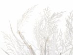 Boltze LED-Baum ca. 40 cm weiss
