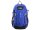 National Geographic N16083-45 Travellerrucksack mit RFID-Blocker