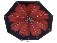 Pierre Cardin Regenschirm mit Vollautomatik leicht, stabil, überschlagsicher mit Glasfiber-Komponenten rote Blume