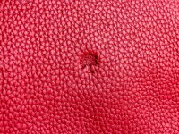 Prato LM K02 Asif Rindleder geprägt Shopper rot7schwarz