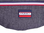 Franky Hüfttasche Gürteltasche Beckentasche Hip Pack GT8 Grey Sports