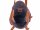 Harbour 2nd Erina Shopper AL.11431 Cognac