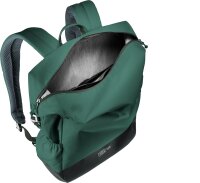 Deuter Vista Spot 18 Liter Rucksack 3812121 seagreen-ivy