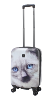 Saxoline Spinner 4 Rollen TSA Gr. S 55 cm B33H0.55.01 White Cat