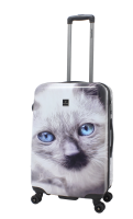 Saxoline Spinner 4 Rollen TSA Gr. M 67 cm B33H067.01 White Cat