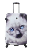Saxoline Spinner 4 Rollen TSA Gr. L 77 cm White Cat