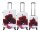 Saxoline Spinner 4 Rollen TSA Gr. S/M/L/SET B35H0 Red Roses