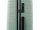 Franky PP14/19 Spinner 55er mit TSA-Zahlenschloss green