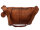 Harbour 2nd Matteo Beltbag-Style Cool Casual Bauchtasche Crossover