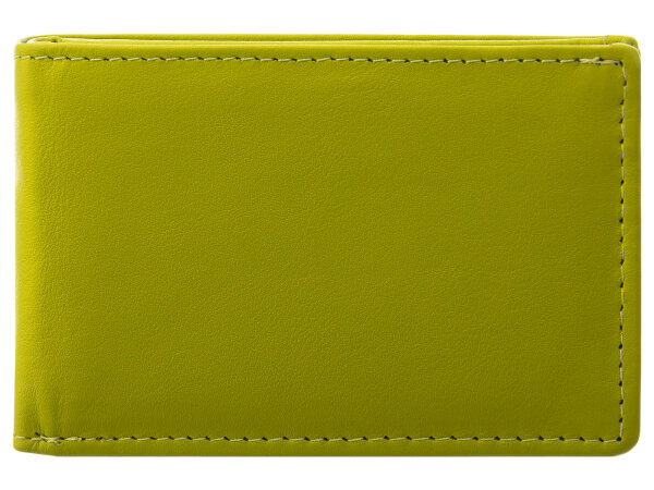 Bugatti ALDO Scheintasche 49113701 Querformat wallet with flip schwarz L. grün