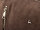 Prato LM S551-P Joyce Vintage PU 2in1 Rucksack - Umhängetasche brown