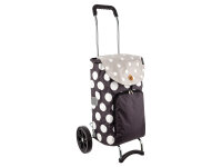 Andersen Campus Thermo Shopper 125-149  80 Dots grau