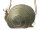 Magic Bags Tasche Umhängetasche "Schnecke"