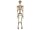 Mel-O-Design 2193 Halloween Deko hängendes Skelett ca.153 cm H