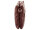Prato S017-G genarptes PU Umhängetasche Handtasche burgundy