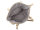 Prato S038-G genarptes PU Shopper dark beige