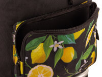 Franky Einkaufstrolley ER3 Treppensteiger zitrone