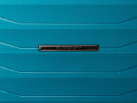 Franky PP15-69DF Spinner Gr. M mit TSA-Zahlenschloss Dehnfalte