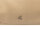 Prato S950-G LM Joyce Umhängetasche genarbtes PU beige