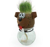 Noor Living 56185 Graskopf Tier mit wachsendem Gras im Glas