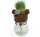 Noor Living 56185 Graskopf Tier mit wachsendem Gras im Glas