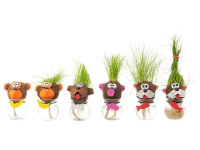 Noor Living 56185 Graskopf Tier mit wachsendem Gras im Glas Katze