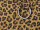 PAOLO BAGS Shopper L6309 Leo Tragetasche Damen khaki LEO