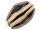 Prato S979-G Umhängetasche beige