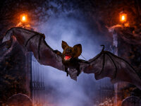 G&M GmbH "Halloween" 09036 LED Deko Figuren Halloween "Hanging Bat" mit Sound