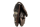Anekke Orchestra Knipsbörse mit Überschlag 43809-016-schwarz / beige