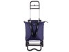 Fabrizio 10430 Alu-Shopper Punta caddy Einkaufstrolley mit Kühlfach