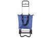 Fabrizio 10430 Alu-Shopper Punta caddy Einkaufstrolley mit Kühlfach