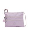 V75 Gentle Lilac