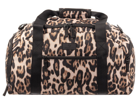 leopard