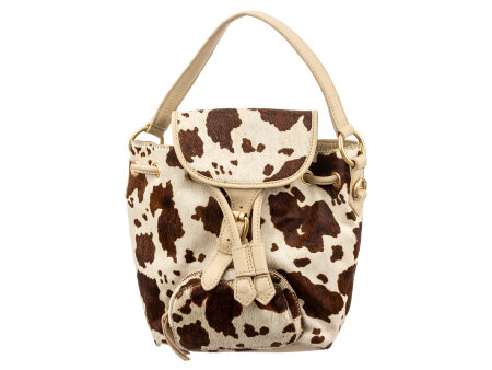 cow brown