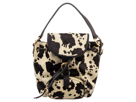 cow black
