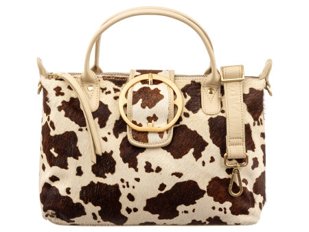cow brown