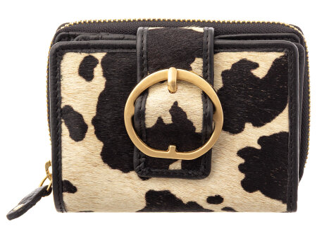 cow black