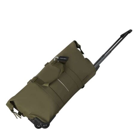 23 olive